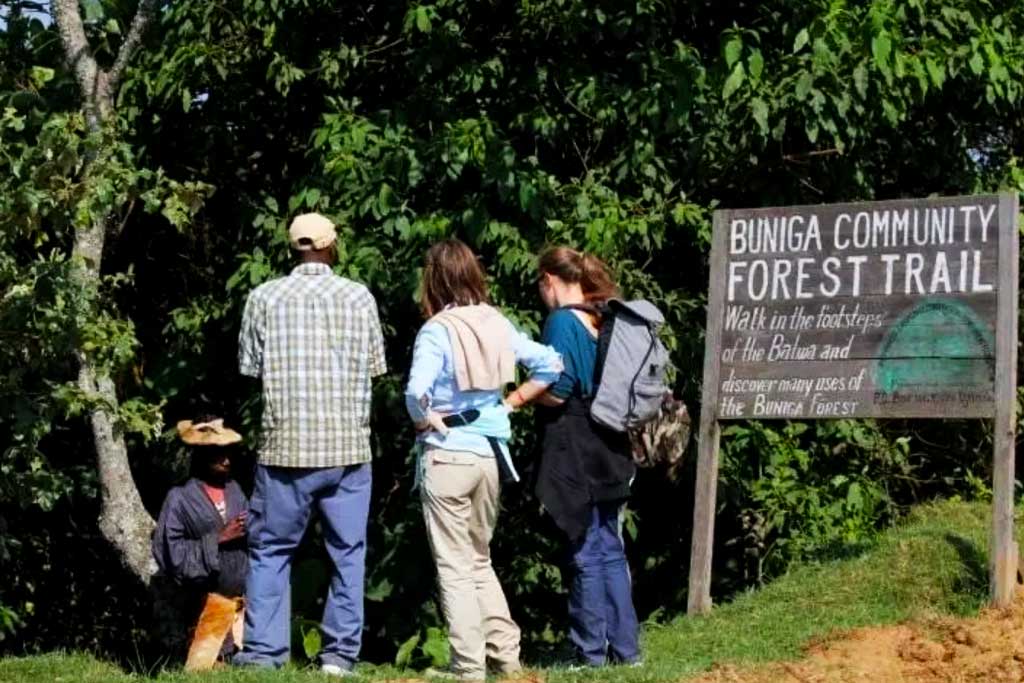 Guests preparing for Buniga Forest trail walk, one of the guided nature walks in Bwindi Impenetrable National Park
