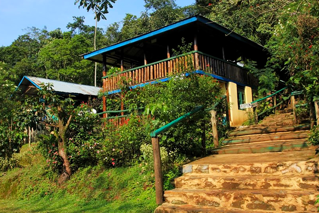 Bwindi View Bandas. Bwindi Impenetrable National Park, Uganda