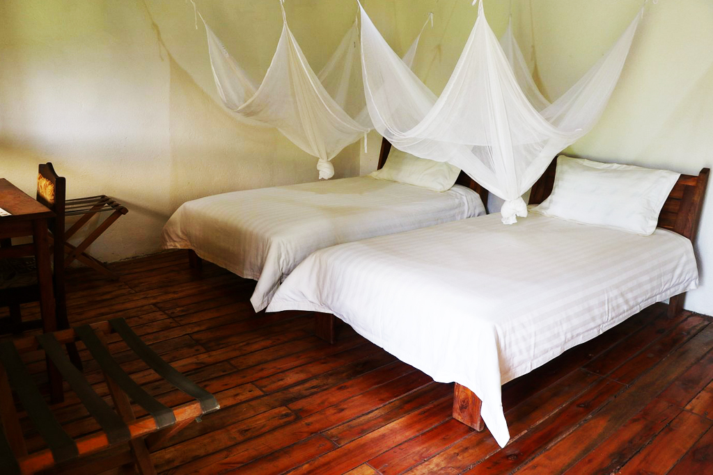 One of the twin bedrooms at CTPH Gorilla Conservation Camp, Bwindi Impenetrable National Park