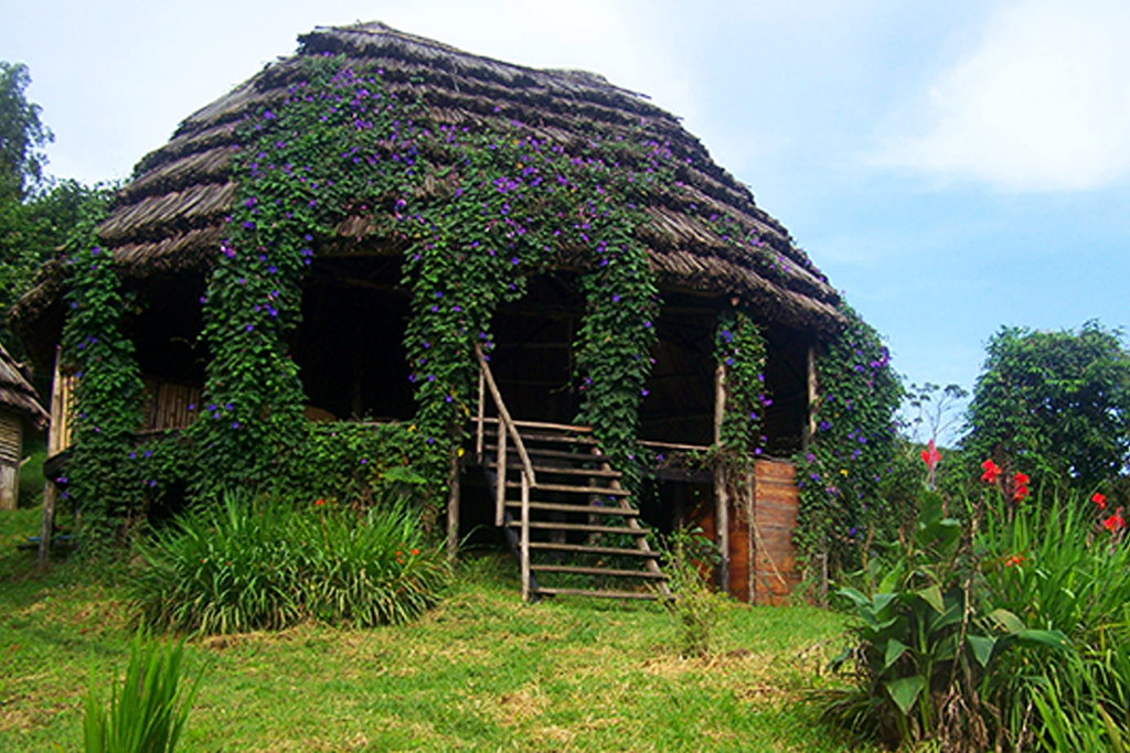One of the cottages at Cuckooland Tented Lodge, Bwindi Impenetrable National Park