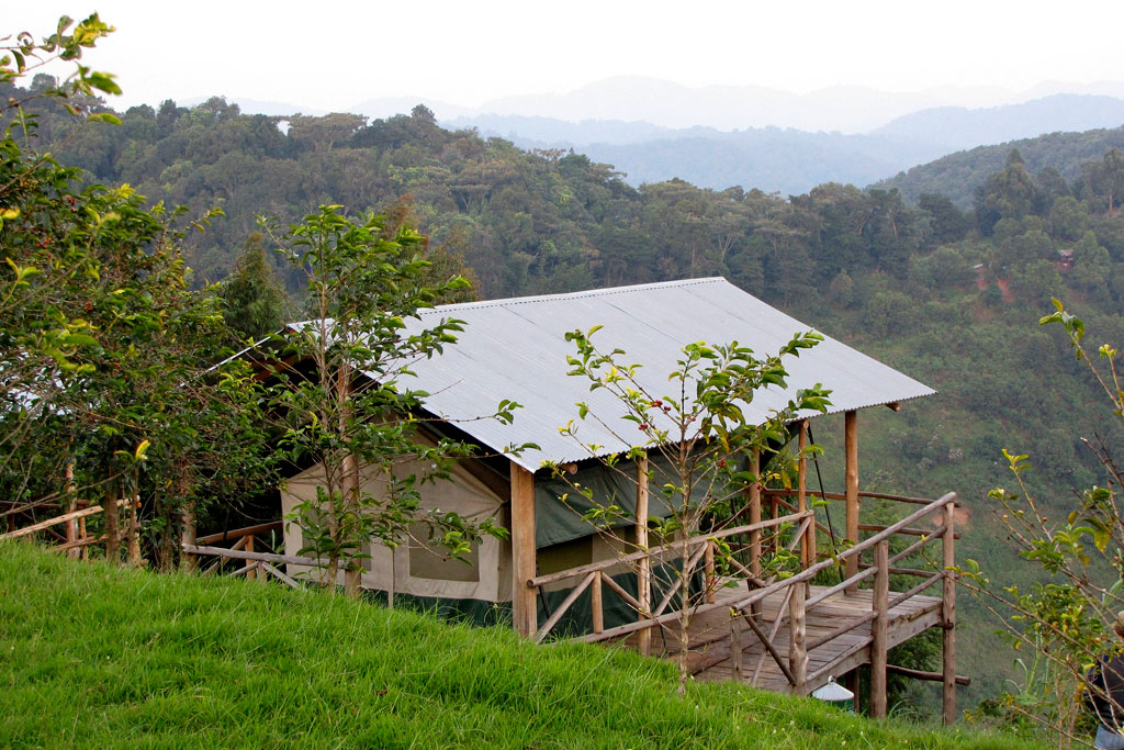 A closer view of one of the cottages at Ruhija Gorilla Friends Resort, Bwindi Impenetrable National Park