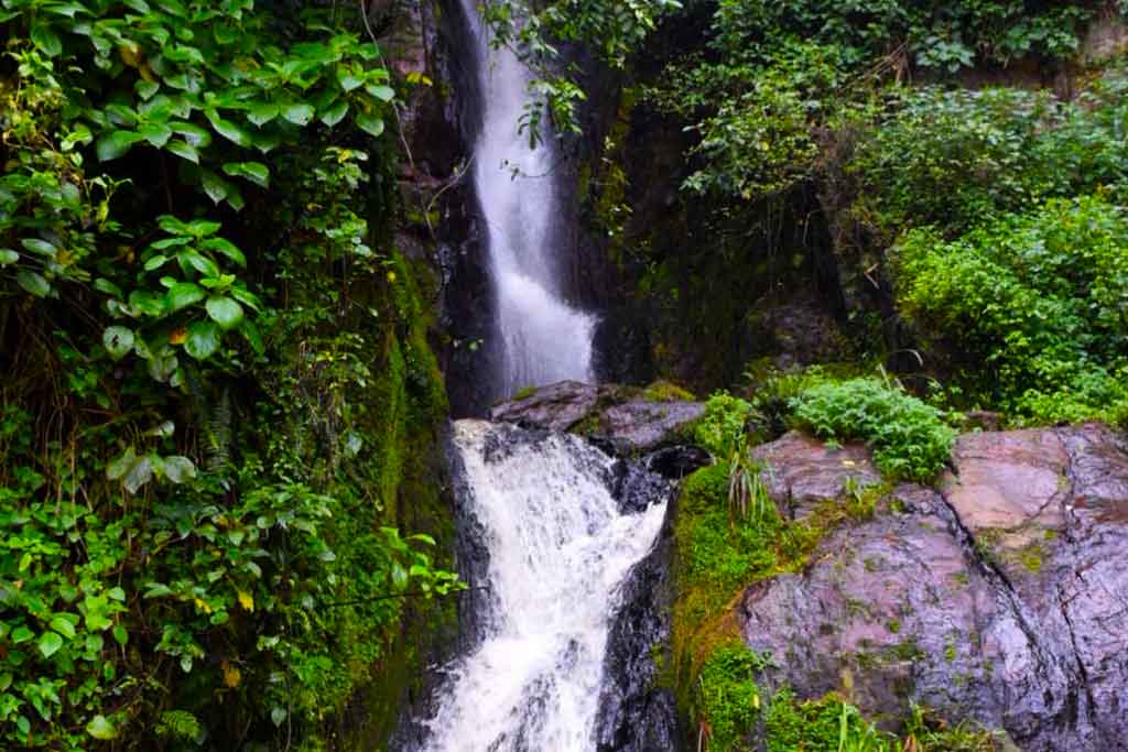 Suma waterfall walk in Bwindi Impenetrable National Park