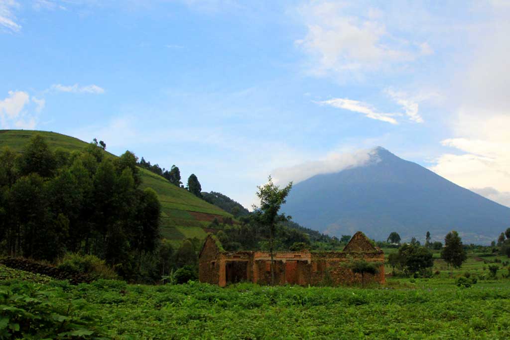 5-days-gorilla-trekking-mgahinga-and-gahinga-volcano-hike