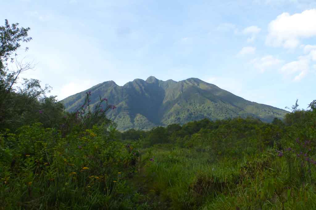 A view of Sabinyo mountain from Bwindi Impenetrable National Park, depicting Bwindi forest climate
