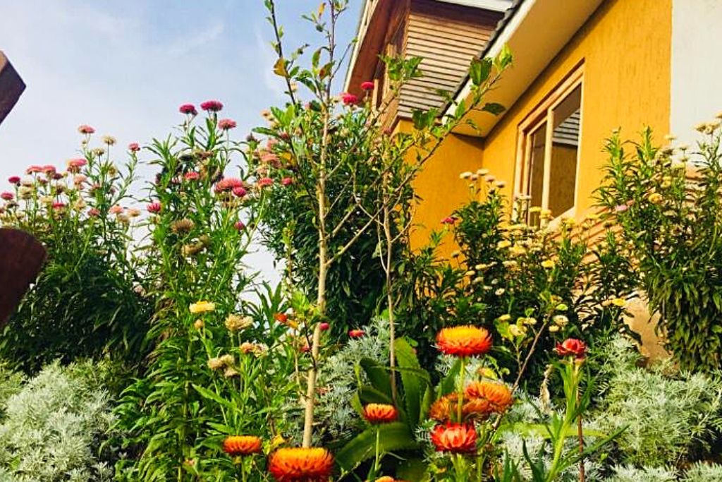 A view from the gardens at Ihamba Residence, Bwindi Impenetrable National Park