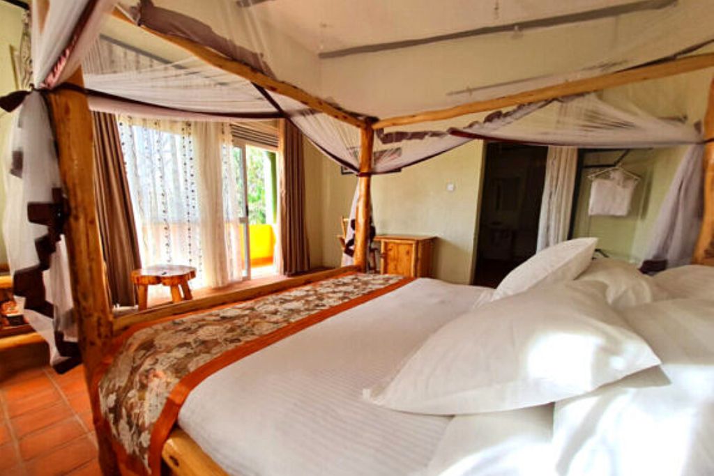 Summit Safari Lodge. Where to stay in Bwindi Impenetrable National Park