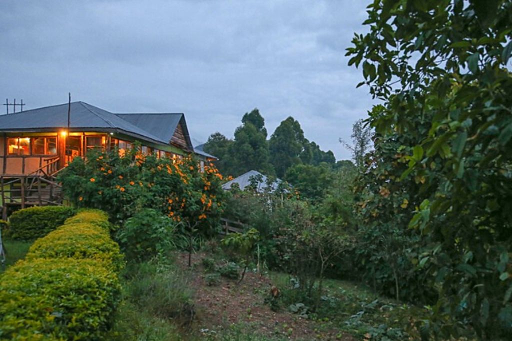 Gorilla Closeup Lodge, Bwindi Impenetrable National Park