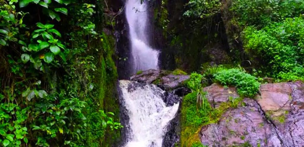 Bizenga RIver in Bwindi Impenetrable National Park, Uganda