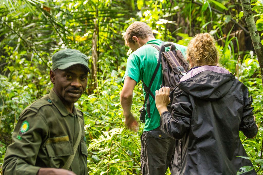 best time visiting Bwindi forest