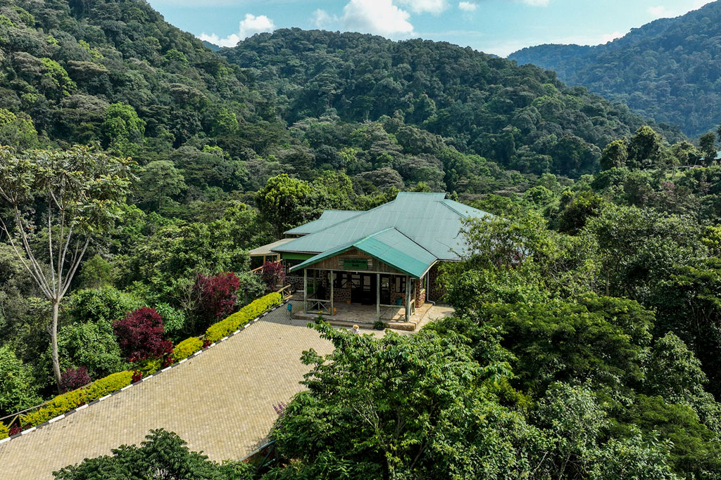 Gorilla Hills Eco Lodge Bwindi - Best Hotel Around Bwindi Forest